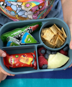 Travel Bento Box